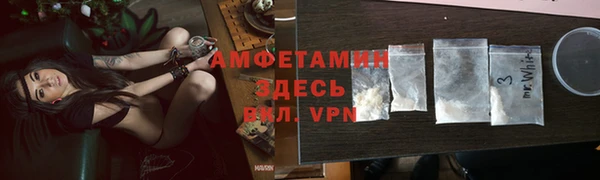 стаф Балахна
