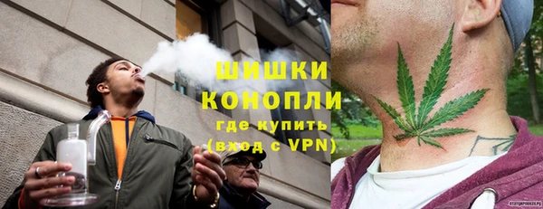 стаф Балахна