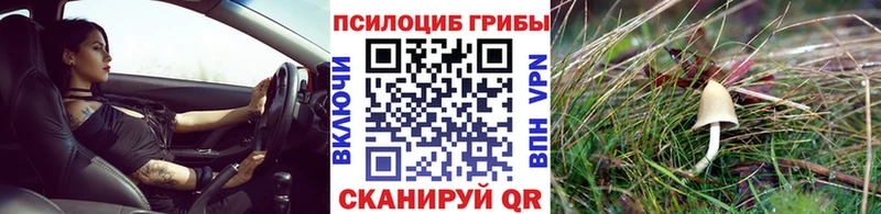 Псилоцибиновые грибы Psilocybine cubensis  хочу наркоту  MEGA рабочий сайт  Волгореченск 